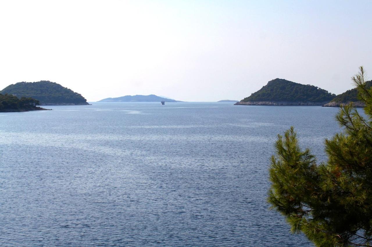 Apartments By The Sea Ubli, Lastovo - 8354 Uble Εξωτερικό φωτογραφία
